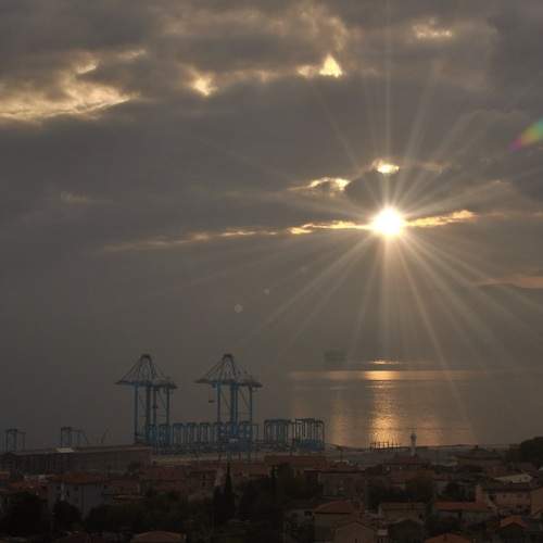 Photo #12391868
