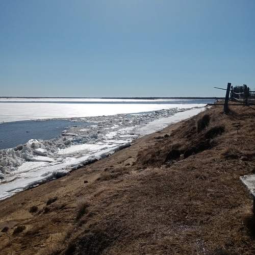 Photo #12391957