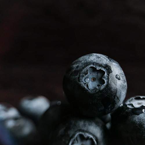 Photo #12392179