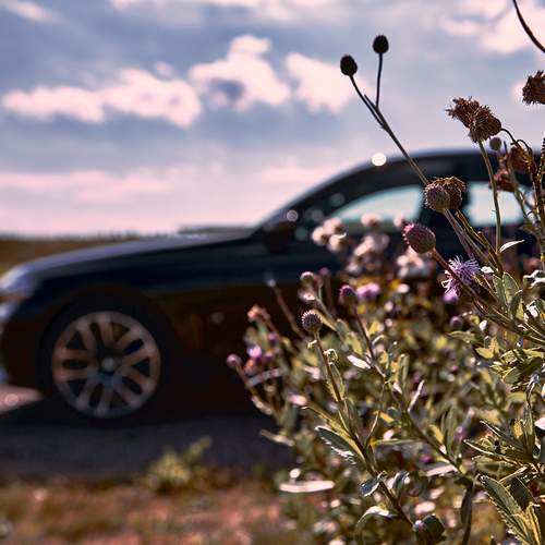 Photo #12392214