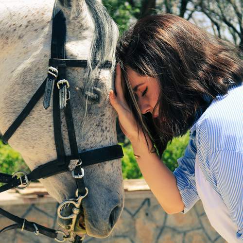 Photo #12392271