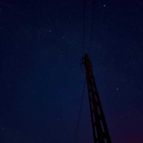 Photo #12392348