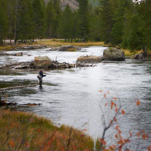 Fisherman in Yellowstone