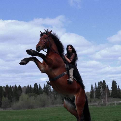 Photo #12392442