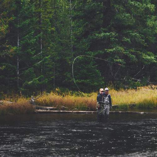 Fly fisherman