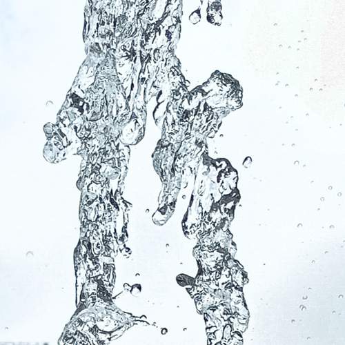 Photo #12392949