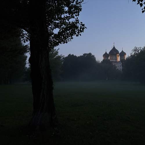 Photo #12393166