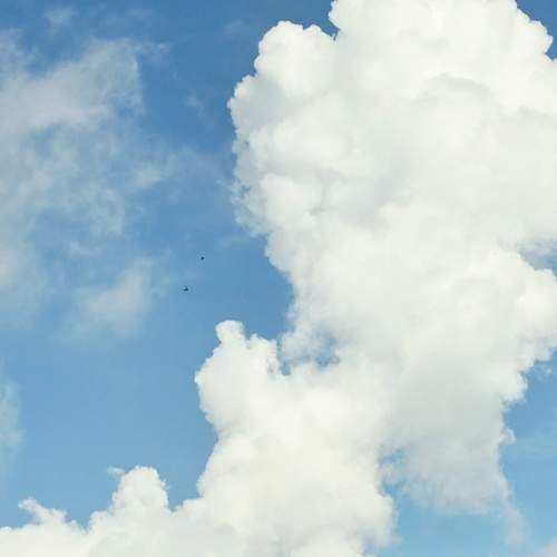 Photo #12393234