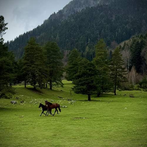 Photo #12393277