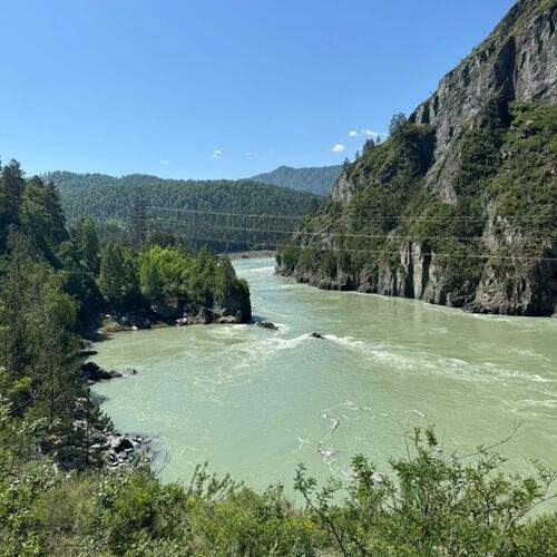 Photo #12393414