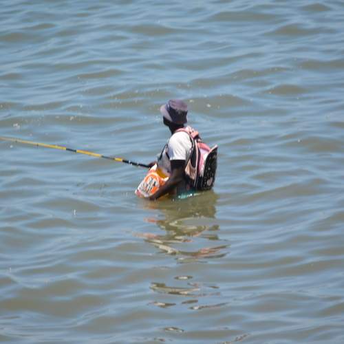 Photo #12393697