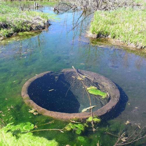 Photo #12393832