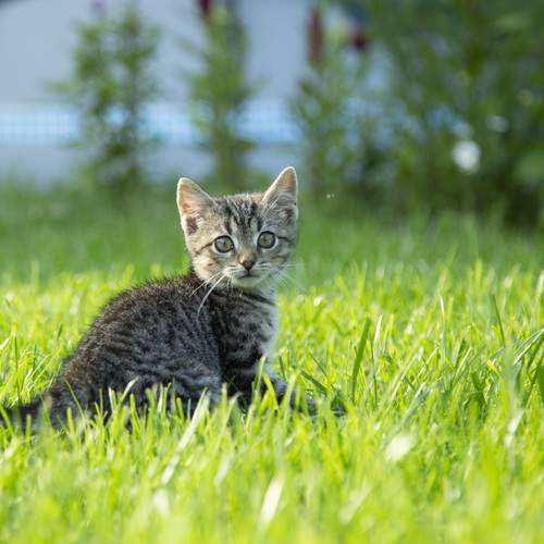 Photo #12394055