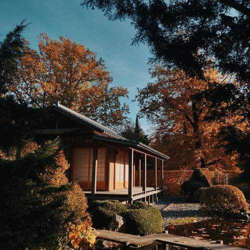 Photo #12394266