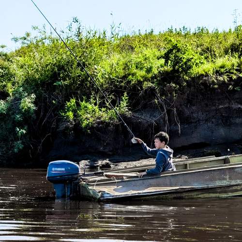 Photo #12394698