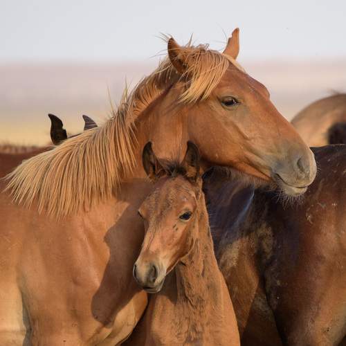 Фотография #12394731