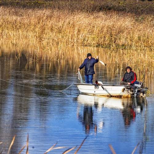 Фотография #12395432