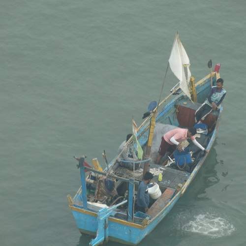 Photo #12395654
