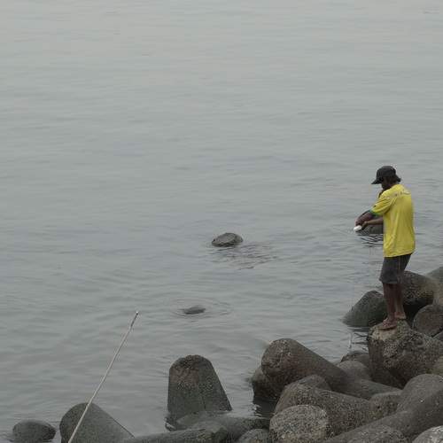 Photo #12395659