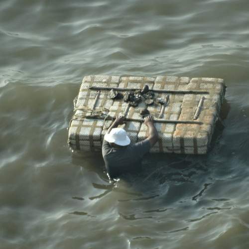 Photo #12395675