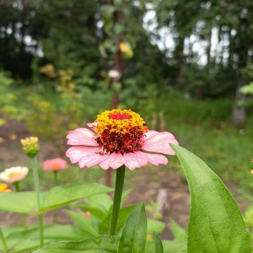 Photo #12395770