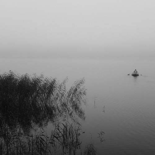Photo #12395857
