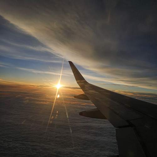 Photo #12396011