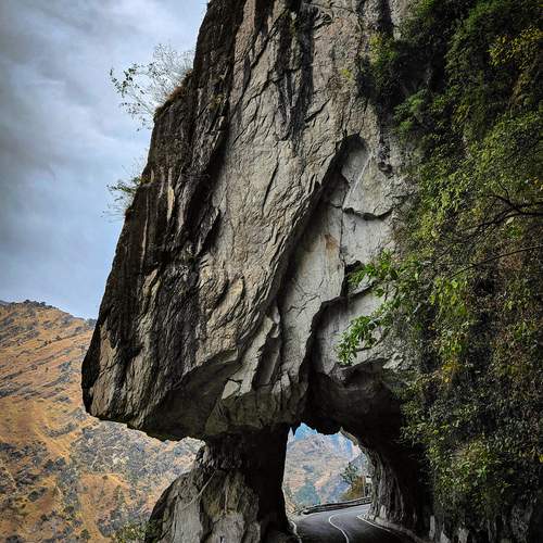 Photo #12396012