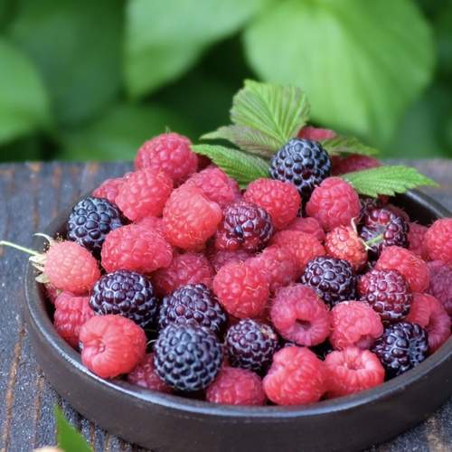 Photo #12396093