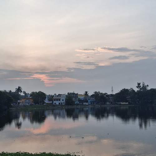 Photo #12396262