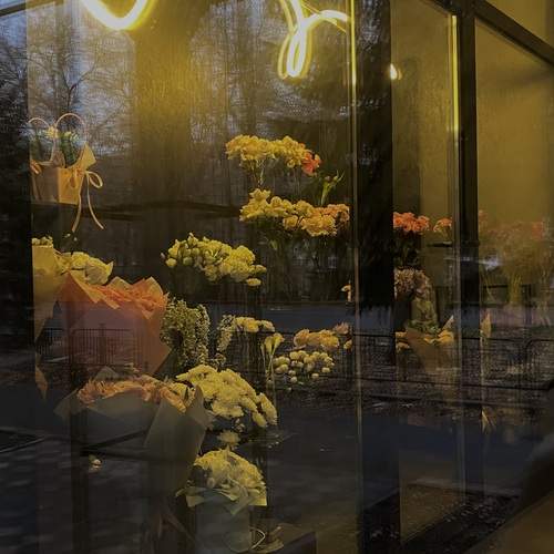 Photo #12396633