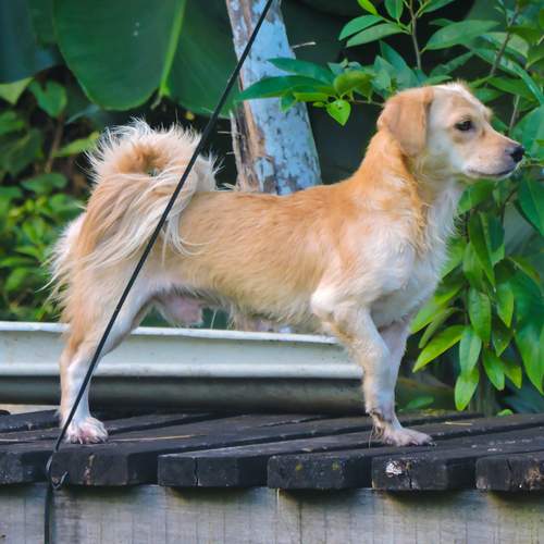 Photo #12397107