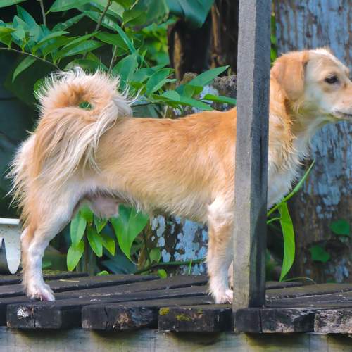 Photo #12397112