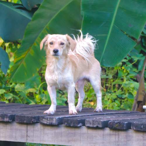 Photo #12397115