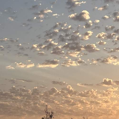 Photo #12397149