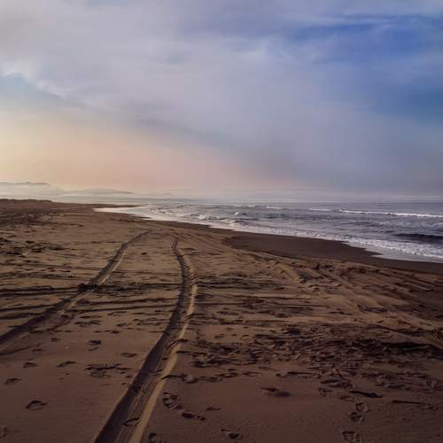 Photo #12397437