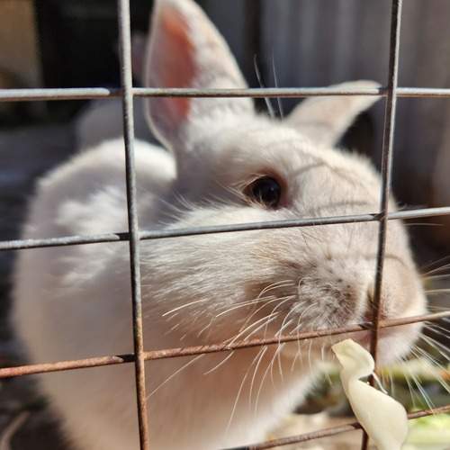 Photo #12397669