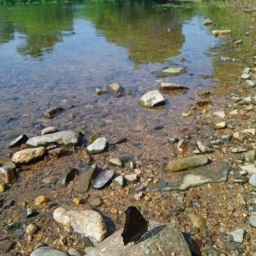 Photo #12397833