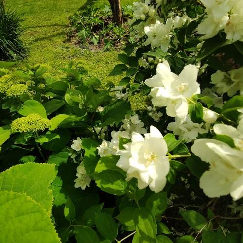 Photo #12397979