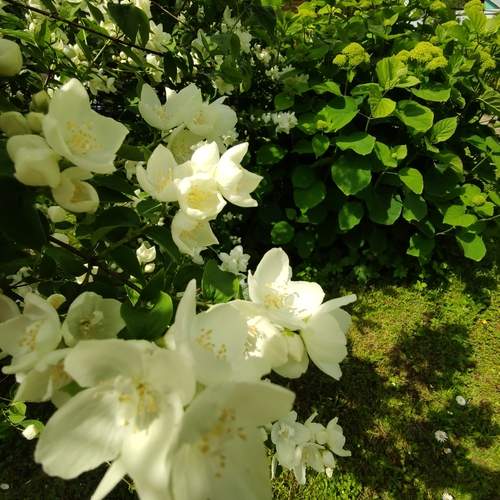 Photo #12397987