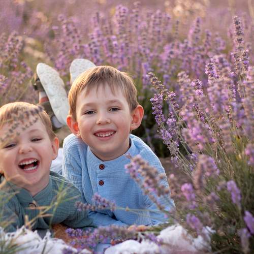 Photo #12398115