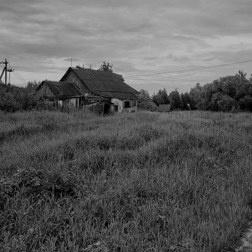 Photo #12398233