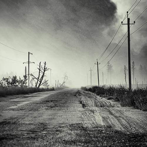 Photo #12398359
