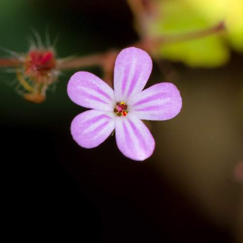 Photo #12398422