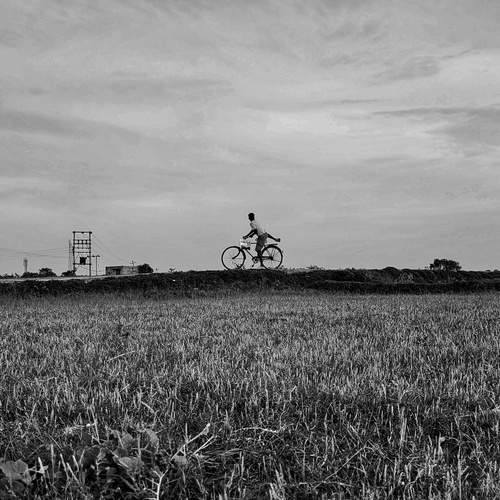 Photo #12398749