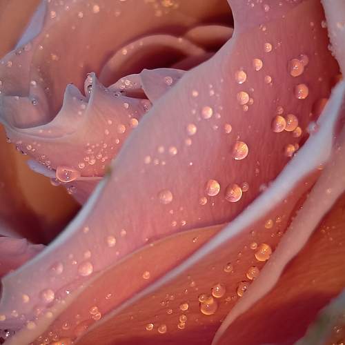 Photo #12398887