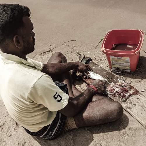Photo #12399054