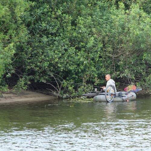 Photo #12399085