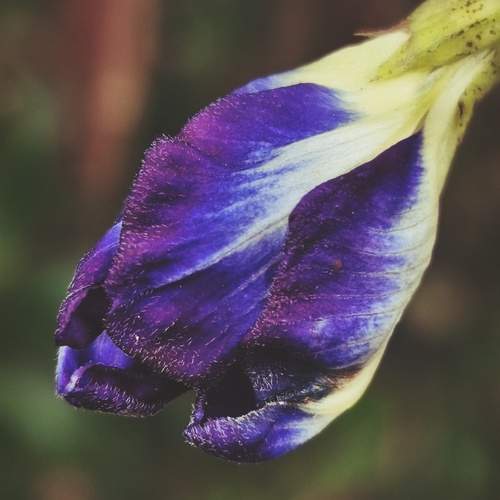 Photo #12399775