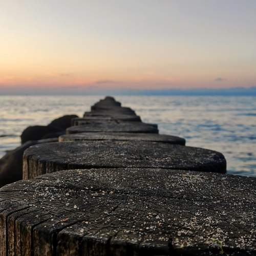 Photo #12400009